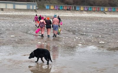 Cold Water Swimming and the Black Dog
